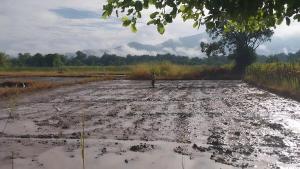 a person standing in the middle of a dirt road at Ridge Boundary View in Dambulla