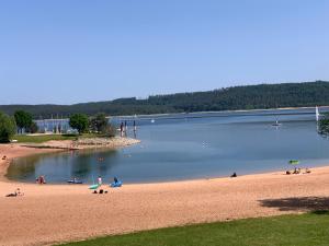a group of people on a beach near a body of water at Sonniges 4 **** DG-Apartment mit Aufzug+Seeblick in Ramsberg