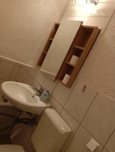 a small bathroom with a sink and a toilet at Stellas Monteurs u. Ferienwohnung in Mülsen
