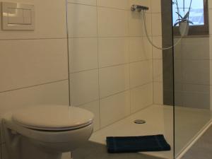 a bathroom with a toilet and a shower at Preuschens Hof in Egloffstein