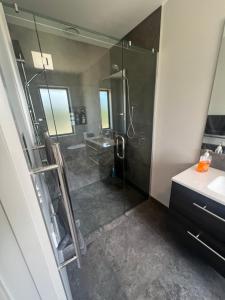 a bathroom with a shower and a sink at Southern Comfort in Kurow