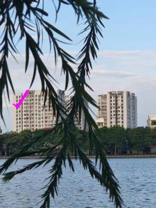 海陽的住宿－Bach Dang Apartment Hai Duong，水体旁大建筑前的树