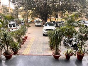 um parque de estacionamento com um monte de vasos de plantas em Hotel Gracious em Gurgaon