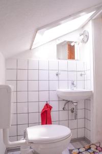 La salle de bains est pourvue de toilettes blanches et d'un lavabo. dans l'établissement Ferienhaus Falkenstein, à Frauenau