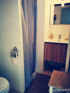 a bathroom with a shower and a toilet and a sink at Le Puits d'Amour in Villeneuve-sur-Yonne