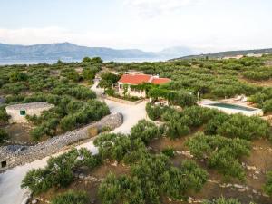una vista aérea de una casa con piscina y árboles en Villa Roza en Splitska