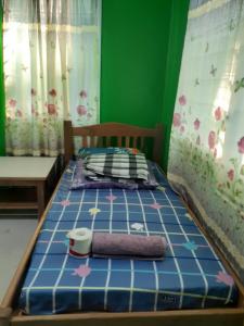 a small bed in a room with a green wall at Ferafolia Highlands Home Stays in Auki