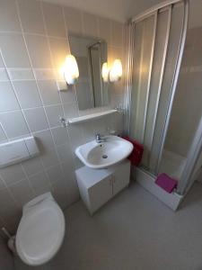 ein Badezimmer mit einem weißen WC und einem Waschbecken in der Unterkunft Pension Bitter in Reinhardshausen