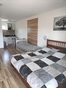 1 Schlafzimmer mit einem großen Bett und einer Küche in der Unterkunft Ubytovanie Pepo in Štúrovo