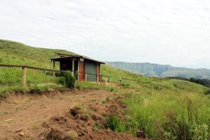 Gallery image of Silver Hill Lodge in Kamberg Valley