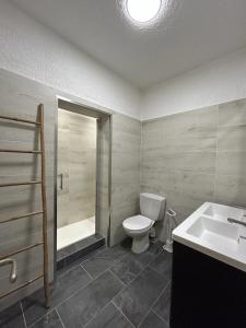 TarcuにあるYVETTEのバスルーム(トイレ、洗面台、シャワー付)
