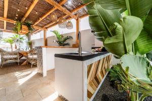 cocina con fregadero y plantas en una habitación en MEDANO4YOU Ixchel Beach House, en El Médano