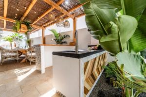 Zahrada ubytování MEDANO4YOU Ixchel Beach House