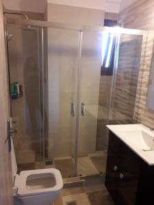 ein Bad mit einer Dusche, einem WC und einem Waschbecken in der Unterkunft Dimitris home in Exochori