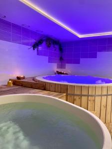 Fotografia z galérie ubytovania Rodinný wellness hotel U Langrů v destinácii Dolní Věstonice