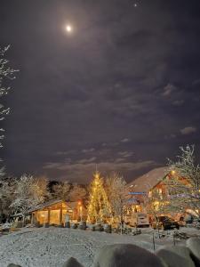 une maison avec un arbre de Noël dans la neige la nuit dans l'établissement Bârlogul Vikingilor, à Şotrile
