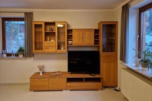 a living room with a tv and a wooden entertainment center at Ferienhaus LandMeer in Gödenstorf