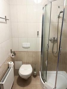 a bathroom with a shower and a toilet and a sink at Hotel Logos in Gdańsk