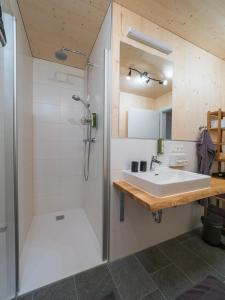 a bathroom with a sink and a shower at Seehäuser Dobra 