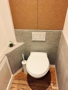 een kleine badkamer met een toilet in de hoek bij Le petit Opéra in Lyon