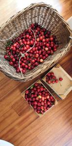 a basket of cherries sitting on a wooden floor at Caterina.C B&B in Val Della Torre +66 photos
