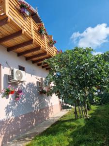 Κήπος έξω από το CASA MOREANA