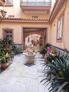 cortile con fontana e piante in vaso di Casa Consuelo a Jerez de la Frontera