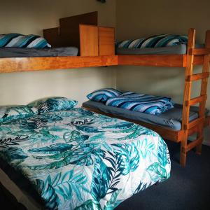 a bedroom with two bunk beds and a ladder at Bluewater Lodge in Napier