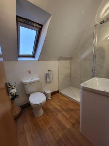 a bathroom with a toilet and a shower and a sink at Lyde Cross Coach House in Hereford
