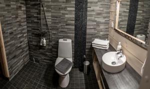 a bathroom with a toilet and a sink and a shower at Arctic Sky Lapland in Saariselka