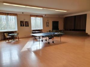 a room with two ping pong tables in it at Landhaus Sorbitzgrund in Rohrbach