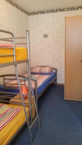 a room with a bunk bed and a ladder at Ferienhaus Benneckenstein in Benneckenstein