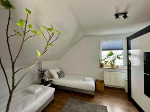 Una habitación con un sofá y un árbol. en Apartament Noce i Dnie z prywatnym jacuzzi, en Jaworze