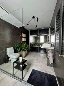 ein großes Bad mit WC und Waschbecken in der Unterkunft Apartament Noce i Dnie z prywatnym jacuzzi in Jaworze