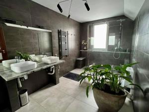 a bathroom with two sinks and a potted plant at Apartament Noce i Dnie z prywatnym jacuzzi in Jaworze