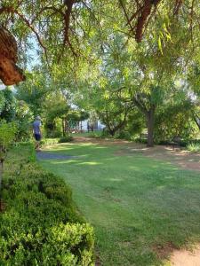 a person walking in a park with trees and grass at Springfontein Guesthouse in Springfontein