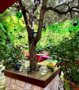 une table sous un arbre avec des lunettes dans l'établissement Hôtel Saint Louis, à Aigues-Mortes