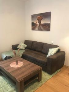 ein Wohnzimmer mit einem braunen Sofa und einem Couchtisch in der Unterkunft Mimalou Apartment in Zwickau in Zwickau