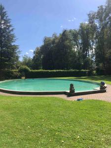 ein Schwimmbad in einem Park mit grünem Gras in der Unterkunft Charming Castle in Austria in Schwertberg