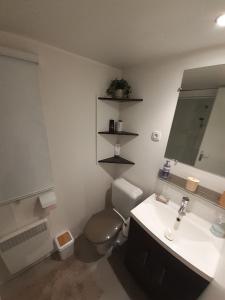 ein Badezimmer mit einem WC, einem Waschbecken und einem Spiegel in der Unterkunft mobile home for you Les Rives de Condrieu in Condrieu