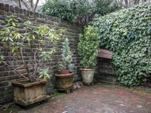 Zahrada ubytování The Blue House + 35 fotografií