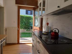 A kitchen or kitchenette at La Casetta nelle Dolomiti