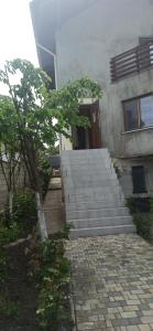 um conjunto de escadas que levam a um edifício com uma árvore em Vila ,Квартира на земле с террасой em Chisinau