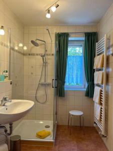 a bathroom with a shower and a sink at Ferienwohnung „Rosarium“ in Gunzenhausen