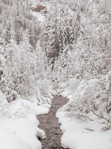 AURA Bed & Breakfast durante l'inverno