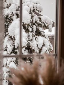 AURA Bed & Breakfast durante l'inverno