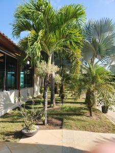 un grupo de palmeras frente a un edificio en Villa Gardem, en Aracaju