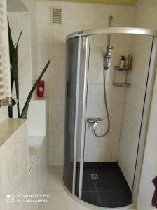 a shower with a glass door in a bathroom at Ramus poilsis prie Širvintų marių in Širvintos
