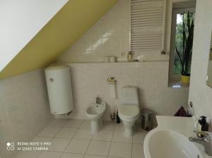 uma casa de banho com um WC e um lavatório em Ramus poilsis prie Širvintų marių em Širvintos