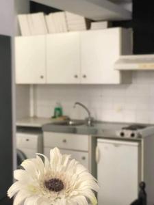 a white kitchen with a white flower in the foreground at Oikeion in Ermoupoli